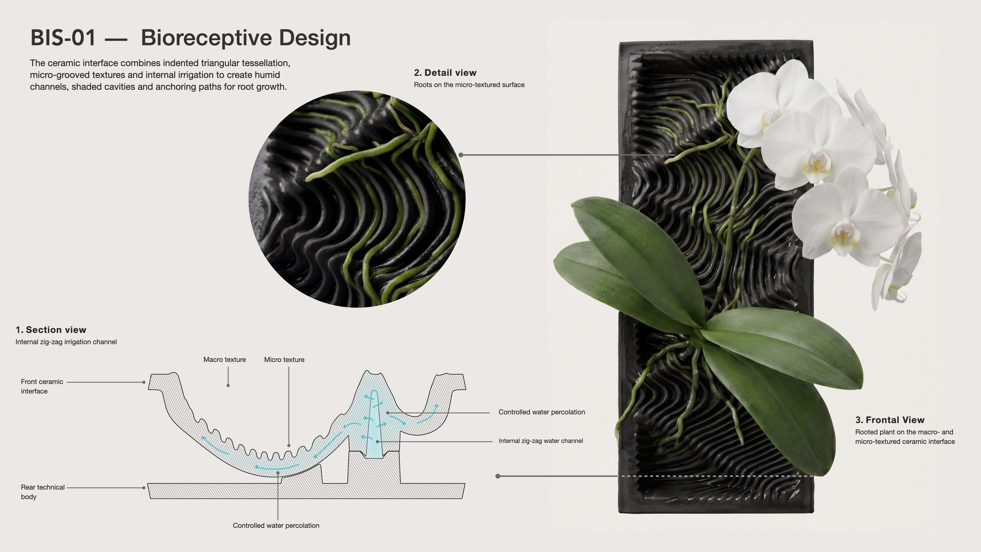 Bioreceptive ceramic interface showing roots, micro-texture, macro-texture and section view.